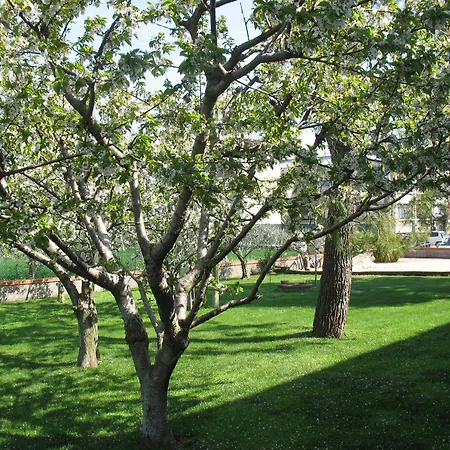 ベッド・アンド・ブレックファスト Bompadre チヴィタノーヴァ・マルケ