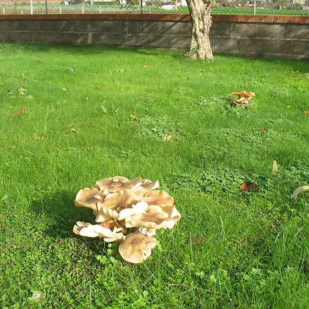 Bompadre Civitanova Marche