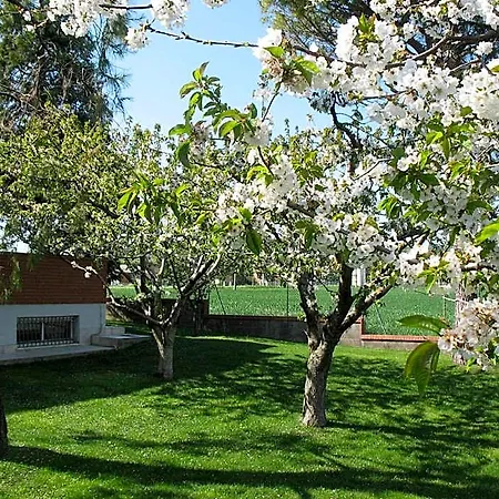 Bed & Breakfast Bompadre Civitanova Marche